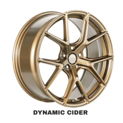 Dynamic_CIDER